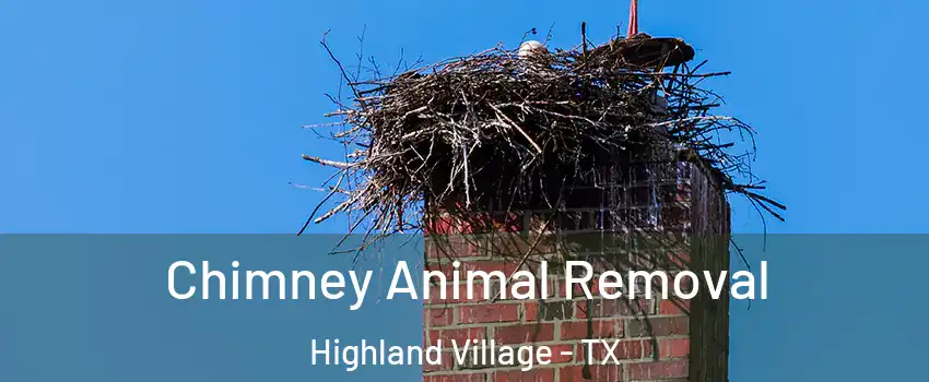  Chimney Animal Removal Highland Village - TX