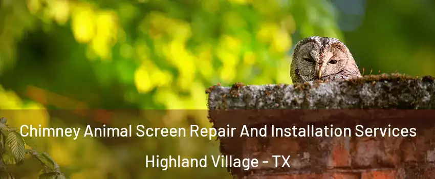  Chimney Animal Screen Repair And Installation Services Highland Village - TX