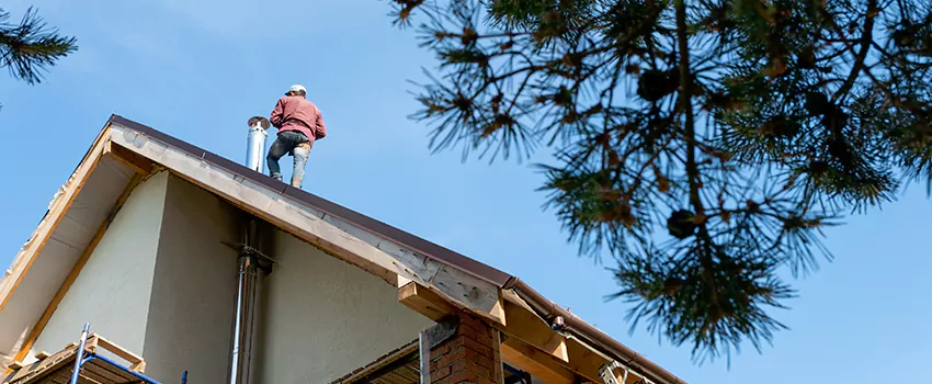 Birds Removal Contractors from Chimney in Highland Village, TX